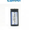 KEEPPOWER 16340/700mAh